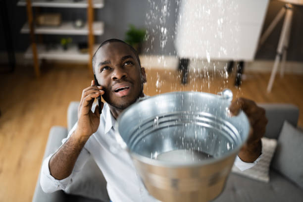 Best Water damage restoration near me  in Hawthorne, NY