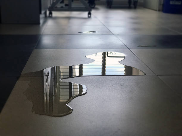 Best 24-hour water damage restoration  in Hawthorne, NY