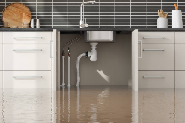 Best Local water damage restoration  in Hawthorne, NY