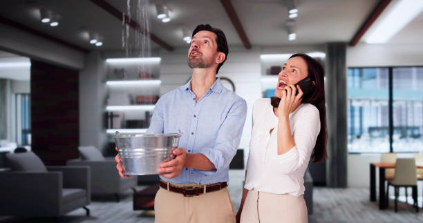 Best Water damage restoration near me  in Hawthorne, NY